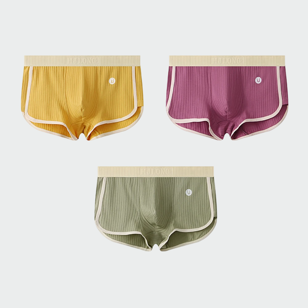 Lot de sous-vêtements en coton "Zenith" – 3 shorties