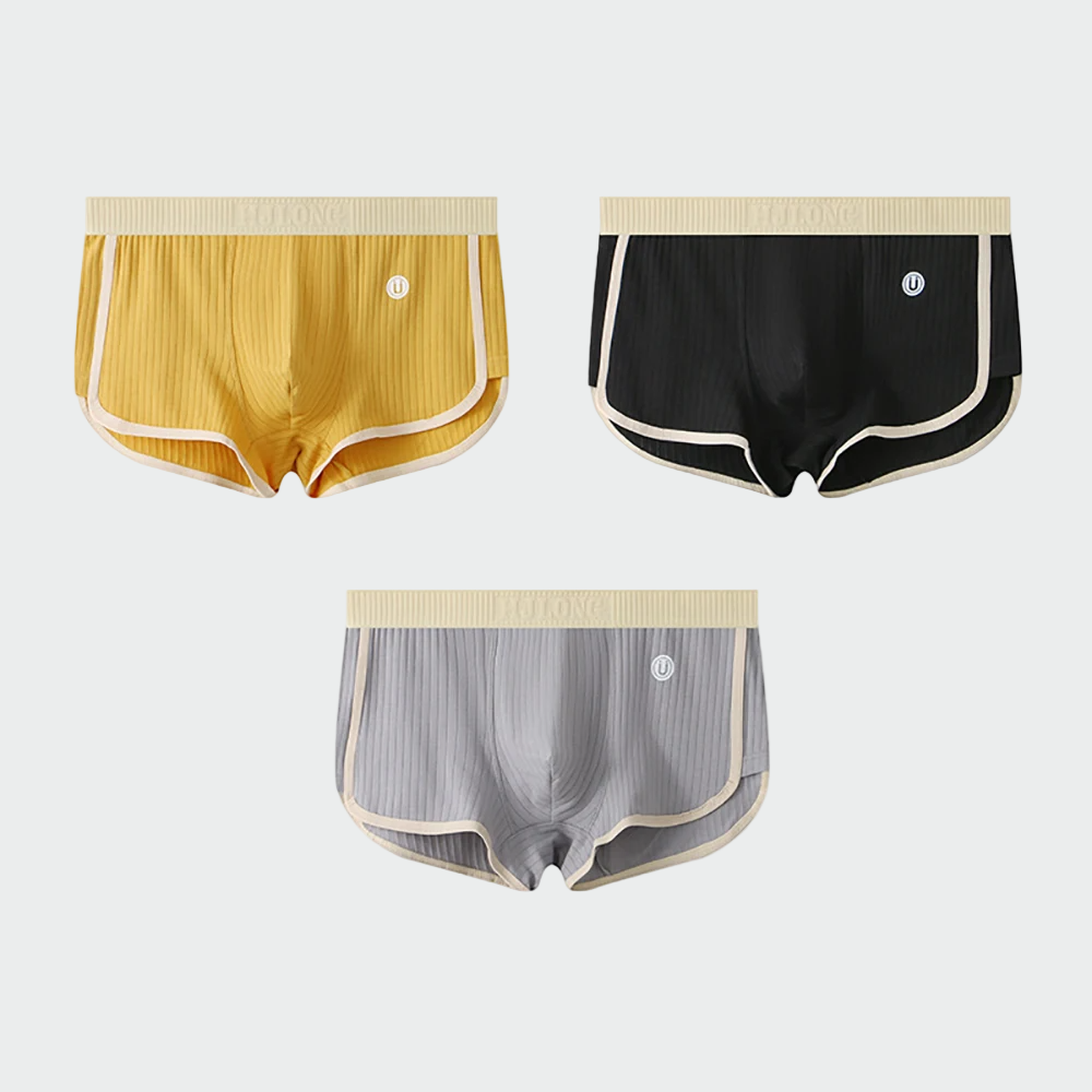 Lot de sous-vêtements en coton "Zenith" – 3 shorties